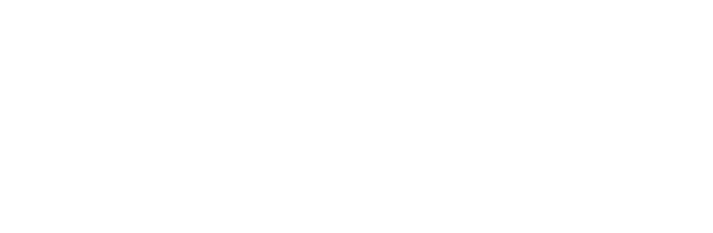 Rodinia Next — Conseil & accompagnement du dirigeant